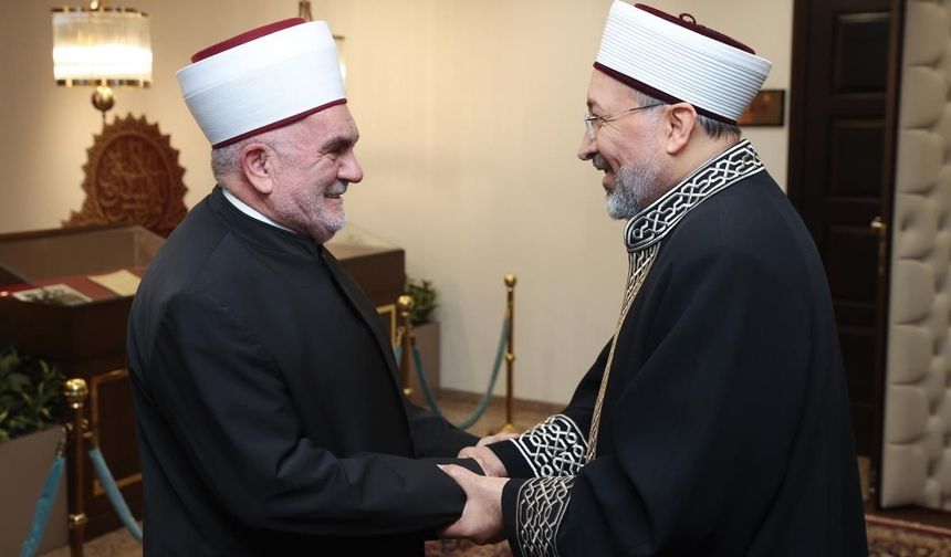 Arpaguş, Sırbistan İslam Birliği Başkanı ile görüştü