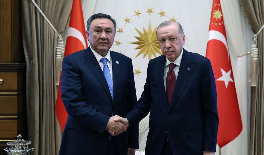 Erdoğan, TDT Genel Sekreterini kabul etti
